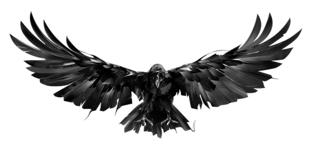 An art of a crow with its wings open with transparent background