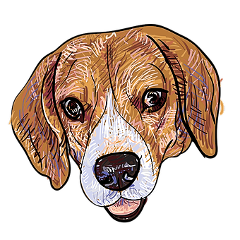 A dog with brown fur and white markings.
